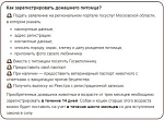 С 1 сентября в Подмосковье вступает в силу закон о регистрации домашних животных.